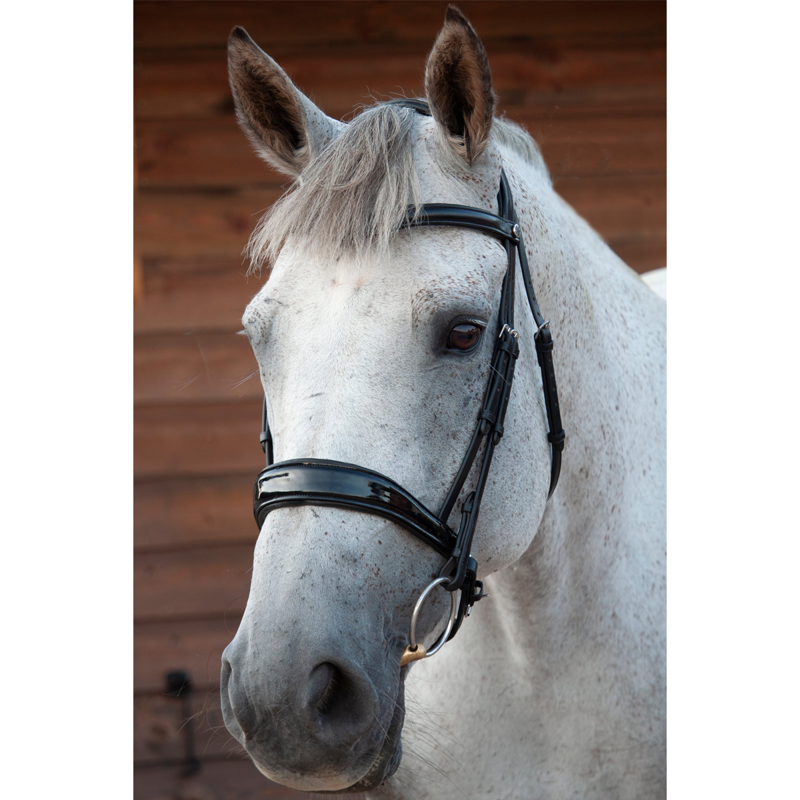 Henry James Patent Dressage Bridle - Black-2